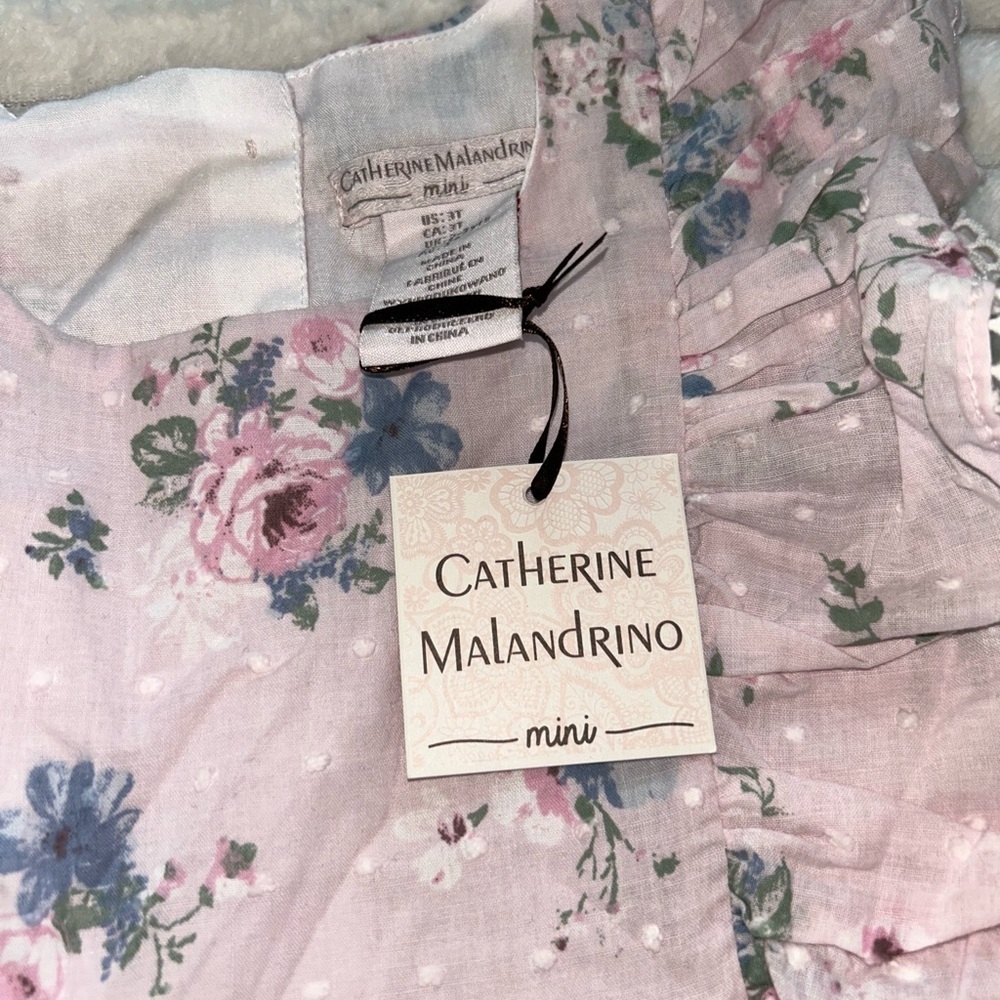 NWT Catherine Malandrino Mini Floral Pattern Ruffle Accent Dress- Size 3T - Picture 2 of 5